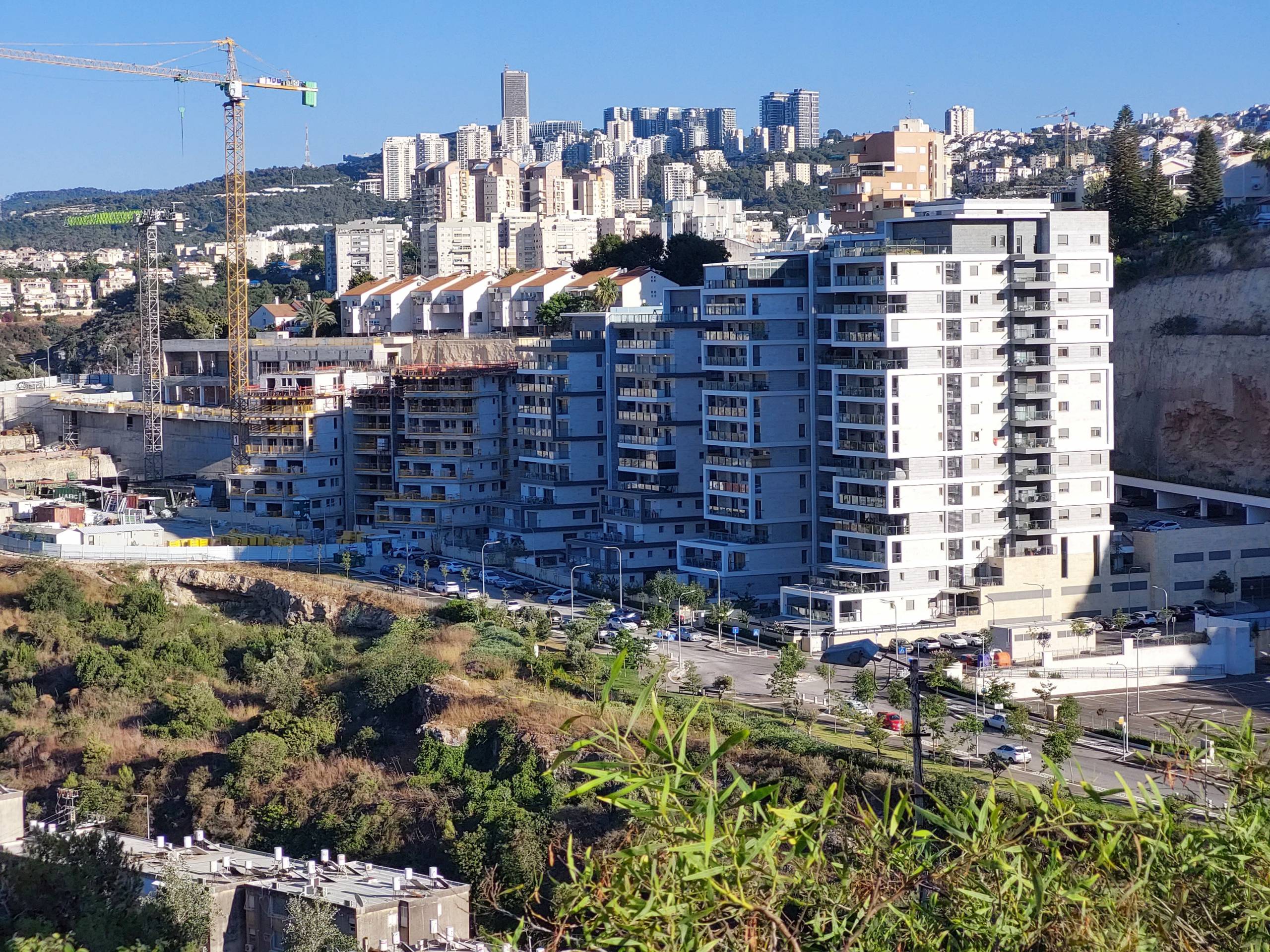 New Vardia or Vardia Opposite the Sea (ורדיה מול הים)