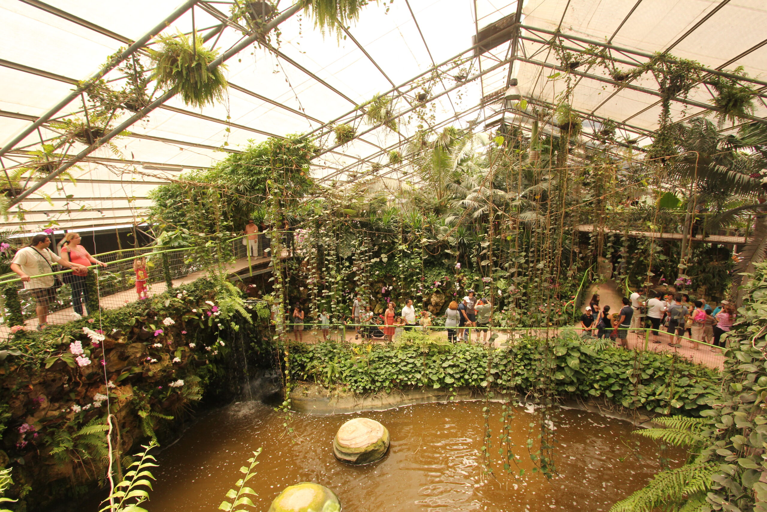 Utopia Orchid Park & Attractions, Sharon Region, Israel