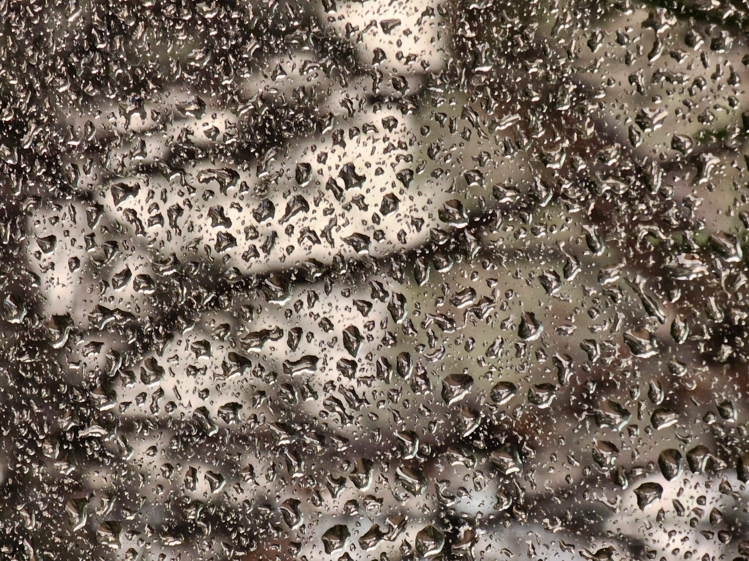 Rain-Washed Week Ahead Across Israel